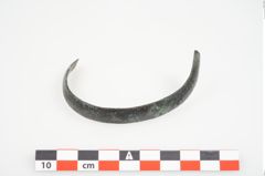 Foto von Bronzeschaukelfußreif (NHMW-PRAE-025995)